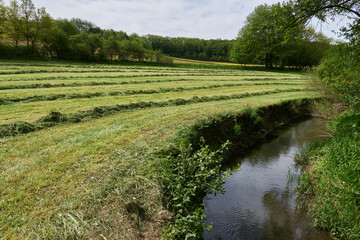 Heuernte auf den Auwiesen im Kerkerbachtal