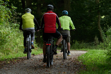 Mit dem Mountainbike unterwegs auf dem Kerkerbach-Radweg durch den sommerlichen Wald