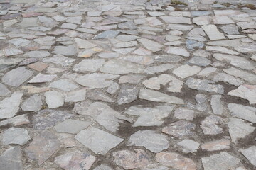 Steinboden in der Flutzone des Rhein