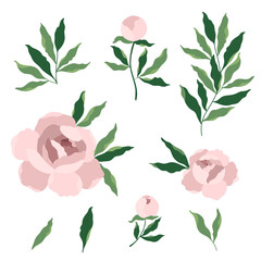 pink bouquet peony flower and leaves, vector drawing set clipart - 494261781