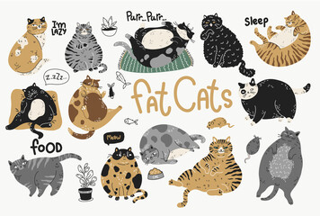 fat lazy cats, vector illustration, color set in poses - 494261786