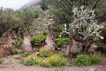 Socavon de purisima mina abandonada Real de Catorce