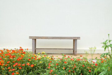 Fototapeta na wymiar Wooden bench and flower in park