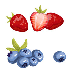 Set of ripe strawberries and blueberries,blueberries.Cartoon vector graphics.