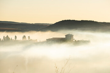 Foggy vineyard and cemetery