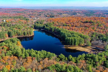 pond in fall