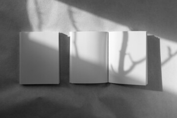 Mockup of brochure with fold. Blank mock up of booklet, menu and book. White paper of magazine. Mockup of leaflet. Template of twofold pamphlet isolated on white background.