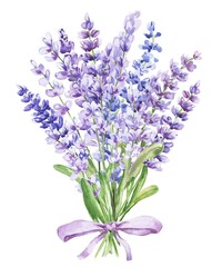 Watercolor bouquet of lavender flowers with ribbon.