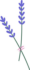 Lavender Flower Sprigs Cartoon Illustration © Good Studio