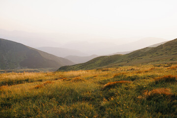 Obraz premium Ukraine. Journey to the mountains.