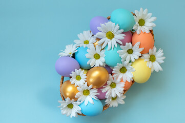 Colorful Easter eggs decorated with white  chrysanthemum flowers on blue background. Greeting card for spring holiday with a copy space for your text.