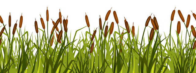 Swamp grass seamless border, vector reed plant, marsh bush, pond cattail shrub, cartoon nature clipart. Landscape river floral design element, green isolated blades, leaf vegetation. Swamp lake grass