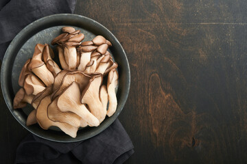 Fresh oyster mushrooms. Iron old bowl of delicious organic oyster mushrooms on old wooden background, top view with space for text.
