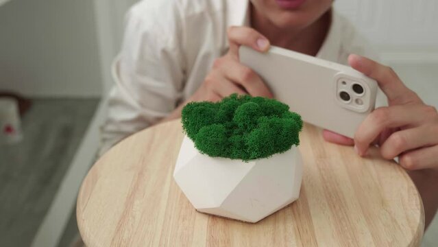 blogger take photo on smartphone plaster pot with green moss at home. Macro shooting.