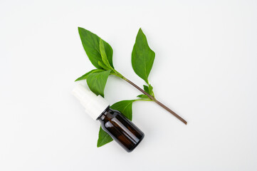 Basil essential oil in bottle with fresh basil leaves isolated on white background, herbal medicine and health care concept - obrazy, fototapety, plakaty