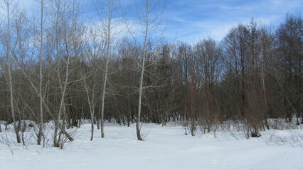 river in winter