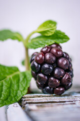 Blackberry macro, close up, isolated