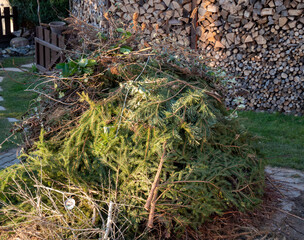  Gartenabfälle zum Verbrennen im eigenen Garten