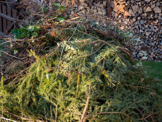 Grünabfälle zum Verbrennen im Garten