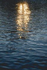 Beautiful golden reflections of sunlight over Calle-calle river  at sunset in Valdivia, Chile