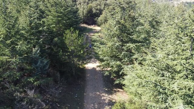 Vtt sur chemin forestier