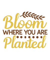 Fototapeta premium Sunflower svg Bundle, Sunflower svg, half sunflower svg, sunflower monogram svg, sunflower quote svg, Cricut, Commercial use Cut files,Sunflower SVG,Floral,Bundle,T-shirt,Vinyl,Vector,Graphic