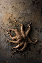 Fresh octopus on a stone board. On a black background. High quality photo