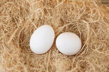 White eggs put on a pile of straw   Eggs contain vitamins, phosphorus, zinc.
