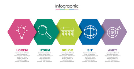 Vector infographic template with five steps or options. Illustration presentation with line elements icons.  Business concept design can be used for web, brochure, diagram, chart or banner layout.