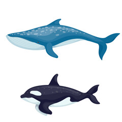 Blue whale and killer whale.Cartoon vector graphic.