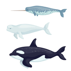 Set of marine mammals, fish. Cartoon vector graphics.