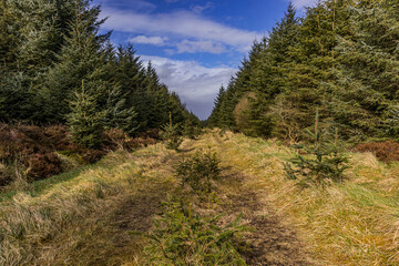 Fototapeta premium The International Appalachian Trail, North Sperrin Way section/Ulster Way, Dungiven to Castlerock hiking trail. County Londonderry, Causeway coast and Glens, Northern Ireland