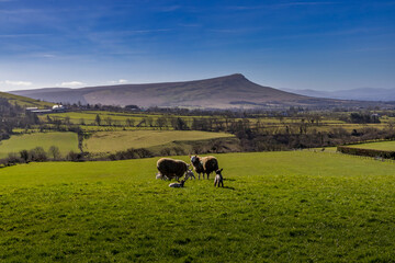 The International Appalachian Trail, North Sperrin Way section/Ulster Way, Dungiven to Castlerock...