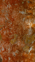 Forest abstraction, pattern, lichen of orange color on tree