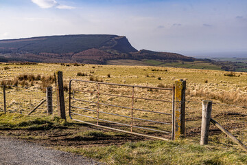 The International Appalachian Trail, North Sperrin Way section/Ulster Way, Dungiven to Castlerock hiking trail. County Londonderry, Causeway coast and Glens, Northern Ireland