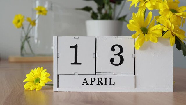 Spring month April 13. A woman's hand turns over a cubic calendar. White perpetual calendar on the table next to yellow flowers. Change the date in a month. day in the month. number