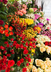beautiful bright interior of a flower shop in Ukraine with bouquets collected by professional florists