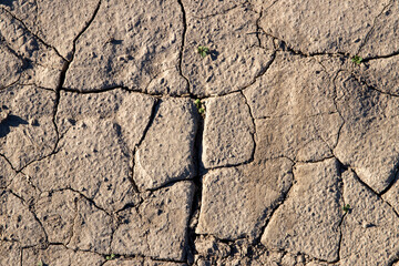 
cracked ground texture