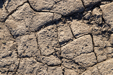 
cracked ground texture