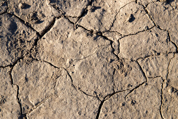 
cracked ground texture