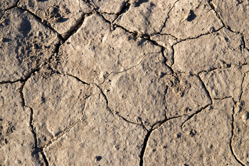 
cracked ground texture