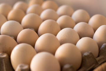 Chicken's egg put perspective lined in the paper egg tray. stock photo.