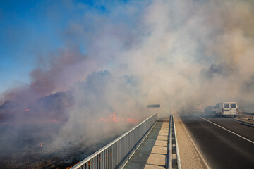 Feldbrand und Waldbrand nach langer Trockenheit