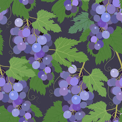 Hand drawn seamless pattern with grapes and plants on a dark blue background. Vector Illustration © olhatszrv