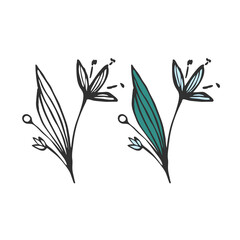 Hand drawn flower and branches doodle, Vector illustration