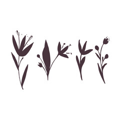 Plants silhouette collection on white background, hand drawn flowers