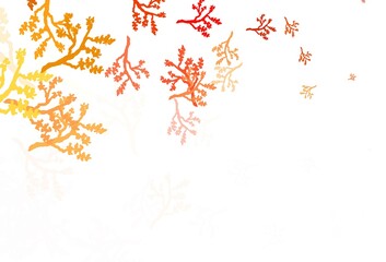 Light Red vector elegant pattern with sakura.