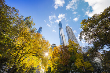 The sun illuminates autumnal leaf color trees in Central Park from among the Ultra-luxury high-rise residential skyscraper in Billionaires’s Row on November 2021 at New York City NY USA.
