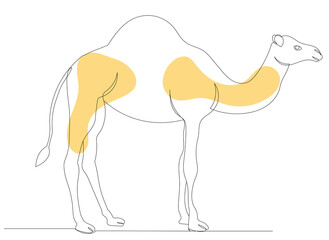 camel drawing one continuous line vector