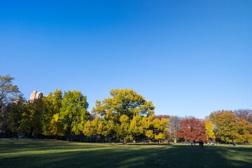 NEW YORK, NEW YORK USA – NOVEMBER 24: Evening sunlight illuminates the Sheep Meadow and relaxing people at Central Park in autumn on November 24, 2021 in New York City NY USA. 



